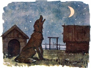 Иллюстрация к сказке А. Н. Толстого «Полкан». Художник Куприянов Сергей Алексеевич, 1976