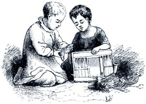 Иллюстрация к сказке Андерсена «Ромашка»