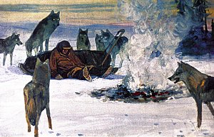 — Ну, теперь вы до меня доберётесь, — пробормотал Генри. — Но мне всё равно, я хочу спать… Иллюстрация к повести Джека Лондона «Белый Клык». Художник Г. Никольский