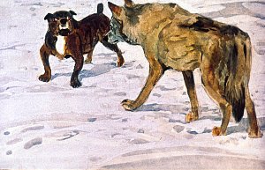 Белый клык и бульдог. Иллюстрация к повести Джека Лондона «Белый Клык». Художник Г. Никольский