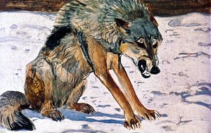 Белый Клык. Иллюстрация к повести Джека Лондона. Художник Г. Никольский
