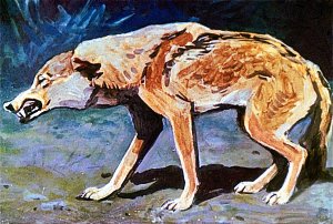 В чаще зашелестели листья. Волк осел на задние лапы, собираясь броситься на добычу. Иллюстрация к рассказу Р. Киплинга «Братья Маугли». Художники Г. Никольский, А. Келейников (1964)