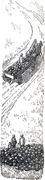 Там стояли лошади. И там складывали арбузы на подводу. Иллюстрация к книге Б. Житкова «Что я видел». Художник Е. Сафонова, 1939