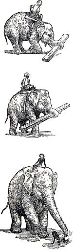 Какие слоны умные. Иллюстрация к книге Б. Житкова «Что я видел». Художник Е. Сафонова, 1939