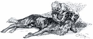 Милочка, — говорил я, лаская ее и целуя в морду, — мы нынче едем; прощай! никогда больше не увидимся. Иллюстрация А. П. Апсита к повести Л. Н. Толстого «Детство»