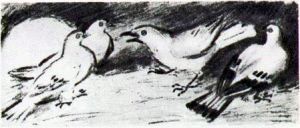 Галка и голуби. Художник К. Рудаков, 1937