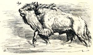 Иллюстрация Эрнста Гризета (1869) к басне Эзопа «КОМАР И БЫК»