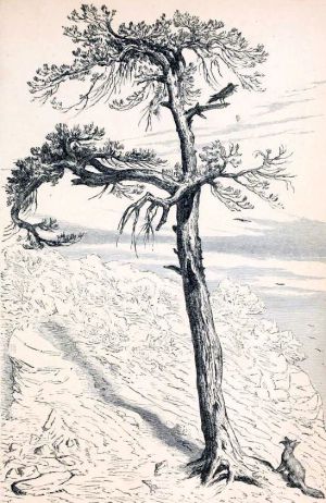 Иллюстрация Эрнста Гризета (1869) к басне Эзопа «ЛИСА И ВОРОН»