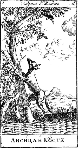 Лисица и куст. Эзоповы притчи. Москва, 1712. Гравюра.