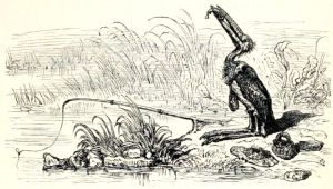 Иллюстрация Эрнста Гризета (1869) к басне Эзопа «РЫБАК И РЫБЕШКА»