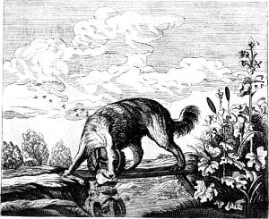 Собака и тень. Отборнейшие эзоповы басни. Москва. 1821.