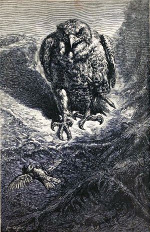 Иллюстрация Эрнста Гризета (1869) к басне Эзопа «СОЛОВЕЙ И ЯСТРЕБ»