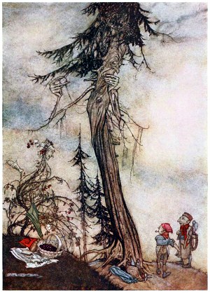 Иллюстрация Артура Рэкхема (1867-1939) к басне Эзопа «Сосна и терновник»