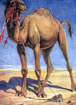 Верблюд. Художник Пол Брэнсом, 1921