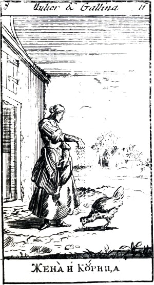 Жена и Курица. Эзоповы притчи. Москва, 1712. Гравюра.