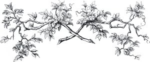 Часть вторая. Действие пятое. Сад. Иллюстрация Энгельберта Зейбертца (1813–1905) к «Фаусту» И. В. Гёте (1749-1832)