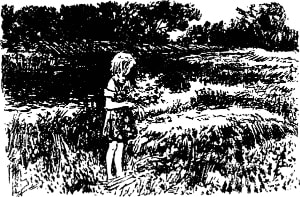 Заставка к рассказу Аркадия Гайдара «Маруся». Художник А. Ермолаев, 1972