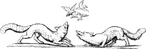 Песнь одиннадцатая (концовка). Иллюстрация к поэме И. В. Гёте «Рейнеке-Лис». Художник Вильгельм фон Каульбах, 1847 г.
