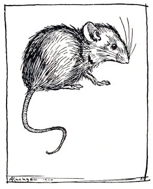 Мышка. Художник Артур Рэкем (1867-1939)
