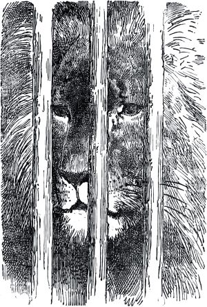 Часть вторая. Конец главы XVII. Иллюстрация Гюстава Доре (1832–1883) к «Дон-Кихоту» Мигеля де Сервантеса (1547-1616)