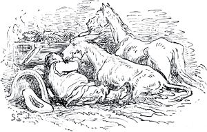 Санчо Панса и его осёл Длинноух. Иллюстрация Гюстава Доре (1832–1883) к «Дон-Кихоту» Мигеля де Сервантеса (1547-1616)