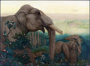 Маленький Тумаи. Иллюстрация к сборнику рассказов Р. Киплинга «Книга Джунглей». Художники Эдвард Юлиус Детмольд и Чарльз Морис Детмольд, 1902