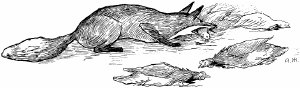 ... у куманька всех кур передушила. Иллюстрация к басне Крылова «Крестьянин и лисица». Художник Жаба Альфонс Константинович.