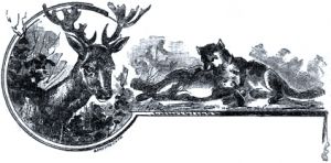 Иллюстрация Н. В. Денисова (1898 г.) к басне Крылова «Лань и Дервиш»