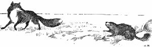 Иллюстрация к басне Крылова «Лисица и сурок». Художник Жаба Альфонс Константинович.