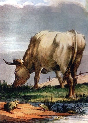 Лягушка и Вол. Художник А. П. Сапожников, 1834 г.
