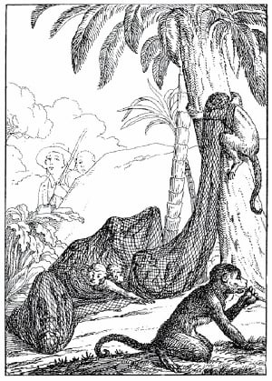 Рисунок А. П. Сапожникова к басне И. А. Крылова «Обезьяны». Издание 1834 г.