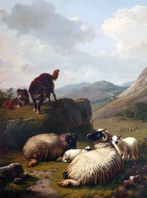 Овцы и Собаки. Евгений Жозеф Вербекховен, 1861