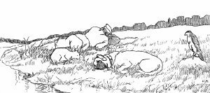 Иллюстрация к басне Крылова «Собака, человек, кошка и сокол». Художник Жаба Альфонс Константинович.