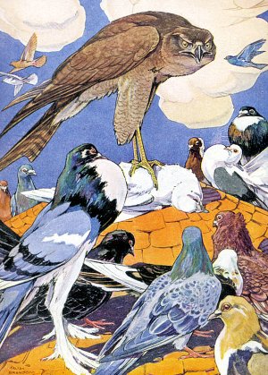 Коршун и голуби. Художник Пол Брэнсом, 1921