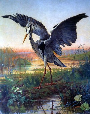Иллюстрация Луи Эмиля Виллы (1836–1900) к басне Жана де Лафонтена «Цапля»