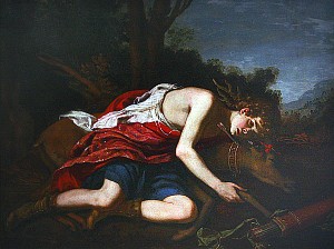 Кипарис. Якопо Виньяли, около 1625 г.
