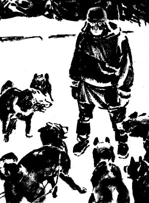 Иллюстрация к рассказу Джека Лондона «Finis». Художник П. Пинкисевич, 1976 г.
