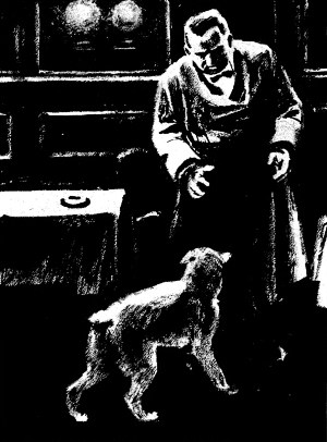 Иллюстрация к роману Джека Лондона «Майкл, брат Джерри». П. Пинкисевич, 1976 г.