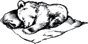 Медвежонок преспокойно съел молоко и булку, а потом забрался ко мне на колени, свернулся клубочком и замурлыкал, как котенок. Иллюстрация А. Н. Комарова к рассказу «Медведко» Д. Н. Мамина-Сибиряка