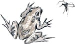 Лягушка и комар. Иллюстрация к «Сказке Про Комара Комаровича-длинный нос и про мохнатого Мишу-короткий хвост». Художник Полстовалова Людмила Федоровна, 1959