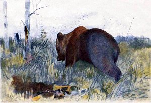 Сказка Про Комара Комаровича. Художник А. С. Степанов, 19 век