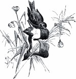 В