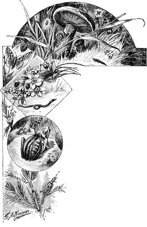 Первая ночь. Иллюстрация к книге Д. Н. Мамина-Сибиряка «Светлячки». Художники В. И. Андреев, П. Е. Литвиненко и др., 1909 г.