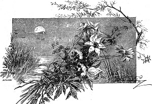 Концовка к сказке Д. Н. Мамина-Сибиряка «Зеленая война». Издание 1912 г.