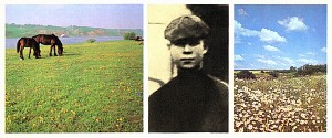 Открытка «Родился я с песнями в травном одеяле...». Сергей Есенин. 1909-1910 гг. На родине С. А. Есенина. Фото Ю. Кавера