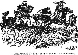 Доведенный до бешенства бык мчался все дальше... Иллюстрация к роману Майна Рида «Белый вождь». Издание 1956 г.
