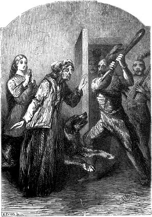 Иллюстрация к роману Майна Рида «Белый вождь». Издание 1855 г.