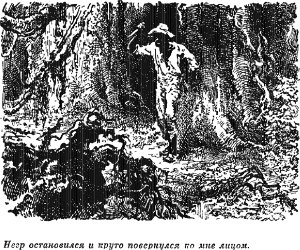 Негр остановился и круто повернулся ко мне лицом. Иллюстрация к роману Майна Рида «Квартеронка». Издание 1956 г.
