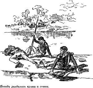 Позади раздались крики и стоны. Иллюстрация к роману Майна Рида «Оцеола, вождь семинолов». Издание 1956 г.
