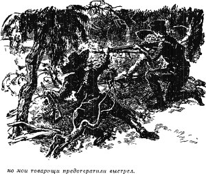 Но мои товарищи предотвратили выстрел. Иллюстрация к роману Майна Рида «Оцеола, вождь семинолов». Издание 1956 г.